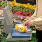 Túi Nhựa PE trong suốt